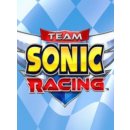 Team Sonic Racing