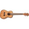 CASCHA HH 2036 CZ Concert Mahogany Ukulele Bundle