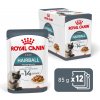 Royal Canin Hairball Care v omáčke 12 x 85 g