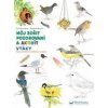 Vtáky môj zošit pozorovaní a aktivít - Kolektív autorov
