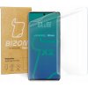 Ochranná fólia Bizon Glass pre Google Pixel 6 Pro 2 ks