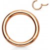 Piercing kruh segment Rosegold