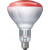 SANITAS IL 10 Náhradná žiarovka 100W