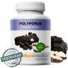 MycoMedica Polyporus PRO 90 kapsúl
