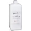 Colourlock Leather Shield 1 l