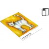 61,0cm x 4m FOMEI Canvas Satin 350, sample roll