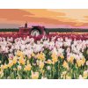 zuty Zuty - Maľovanie Podľa Čísel - Tulipány Na Poli (Ted Davis), 40X50 Cm, Plátno (8596530117087)