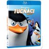 Tučniaky z Madagascaru