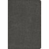 ESV Student Study Bible (Crossway Bibles)(Pevná)