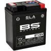 BS-Battery BTZ8V