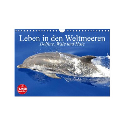 Leben in den Weltmeeren. Delfine Wale und Haie Wand DIN A4 quer CALVENDO Monats 2024