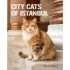 Marcel Heijnen - CITY CATS OF ISTANBUL