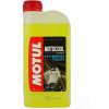 Motul Motocool Expert 1 l