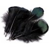 Bažantie perie dĺžka 4,5-9 cm - 20 ks 2 zelená šedá tmavá