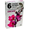 ČAJOVÉ SVIEČKY Orchidea (Orchid) – 6ks