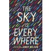 The Sky Is Everywhere - Jandy Nelson, Walker Books Ltd