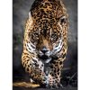 Clementoni Puzzle 1000 Walk on the Jaguar