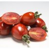 Paradajka Dattochoco F1 - Solanum lycopersicum - semená - 6 ks