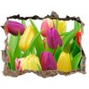 Samolepící nálepka na zeď Farebné tulipány 95x64 cm