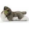 Rappa Plyšový pes bradáč ležiaci 28 cm ECO-FRIENDLY