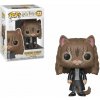 Funko POP! Harry Potter Hermione as Cat 10 cm