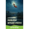 E-kniha Probuzení / Setkání s múzou - Oldřich Antonín Hostaša