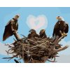 zuty Zuty - Maľovanie Podľa Čísel - Orlie Hniezdo (D. Rusty Rust), 40X50 Cm, Plátno (8596530169680)