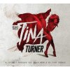 Various: Many Faces Of Tina Turner (Coloured Edition) - 2Vinyl (LP)