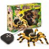 Buki RC Tarantule