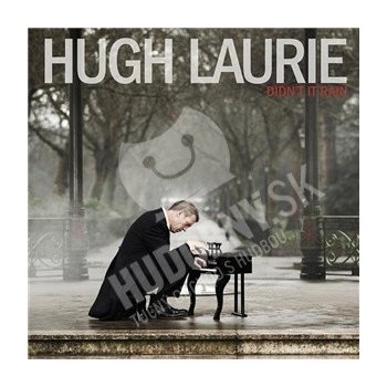 LAURIE HUGH: DIDN T IT RAIN, CD
