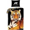 Halantex Obliečky Animal Planet Tiger Bavlna 140x200 70x90