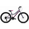 DETSKÝ BICYKEL CAPRIOLO DIAVOLO 400 24
