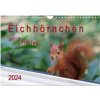 Eichhörnchen am Fenster (Wandkalender 2024 DIN A4 quer), CALVENDO Monatskalender