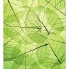 DIMEX fototapeta Zelené listy MS-3-0111 - 225 x 250 cm (150g VLIES - LEPIDLO ZADARMO)