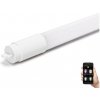 Aigostar B.V. | LED Žiarivková trubica T8/10W/230V 6500K 60 cm - Aigostar | AI0617