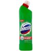 Unilever DOMESTOS Extended Power Pine Fresh dezinfekčný wc čistič 750ml
