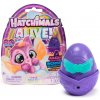 Hatchimals Jedno Balenie Neónová Dúha