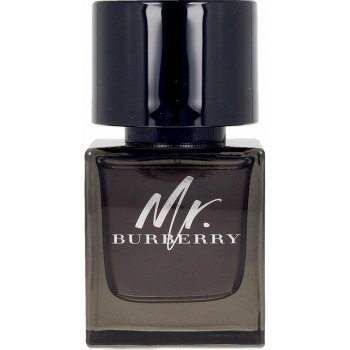 Burberry Mr. Burberry parfumovaná voda pánska 50 ml