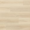 ARBITON WOODRIC ACOUSTIC DUB ROCKFORD CWA 179