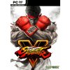 Street Fighter V (PC)