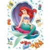 AG Design Dekoračné samolepky DK 1755 Disney Ariel