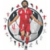 Fan-shop Dřevěné LIVERPOOL FC Mo Salah 270 dielov