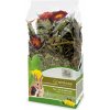 JR Farm pochúťky zmes 0,1 kg
