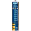 DINITROL 501 FC hodinové lepidlo 310ml