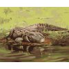 ZUTY Maľovanie podľa čísel - ALIGÁTOR LEŽIACI PRI VODE II (D. RUSTY RUST) Rámovanie: vypnuté plátno na rám, Rozmer: 80x100 cm