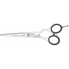 JAGUAR 4655 Lumen 5,5