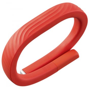 Jawbone UP24 Large