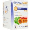 GinkgoMAX + Bacopa + Lecitín tob. 90+30zadarmo