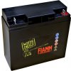 FIAMM FT19-12B