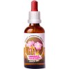 Trávníček Dračia krv - Vrbovka + Zlatobyľ tinktúra 50 ml
